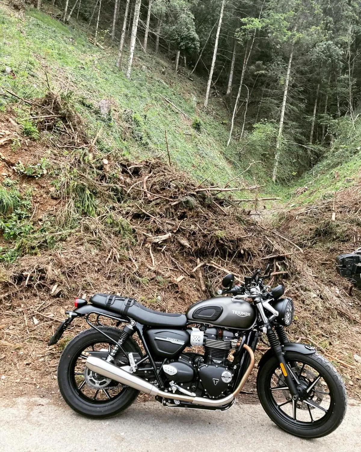 Triumph Street Twin 900 (2019 - 20)