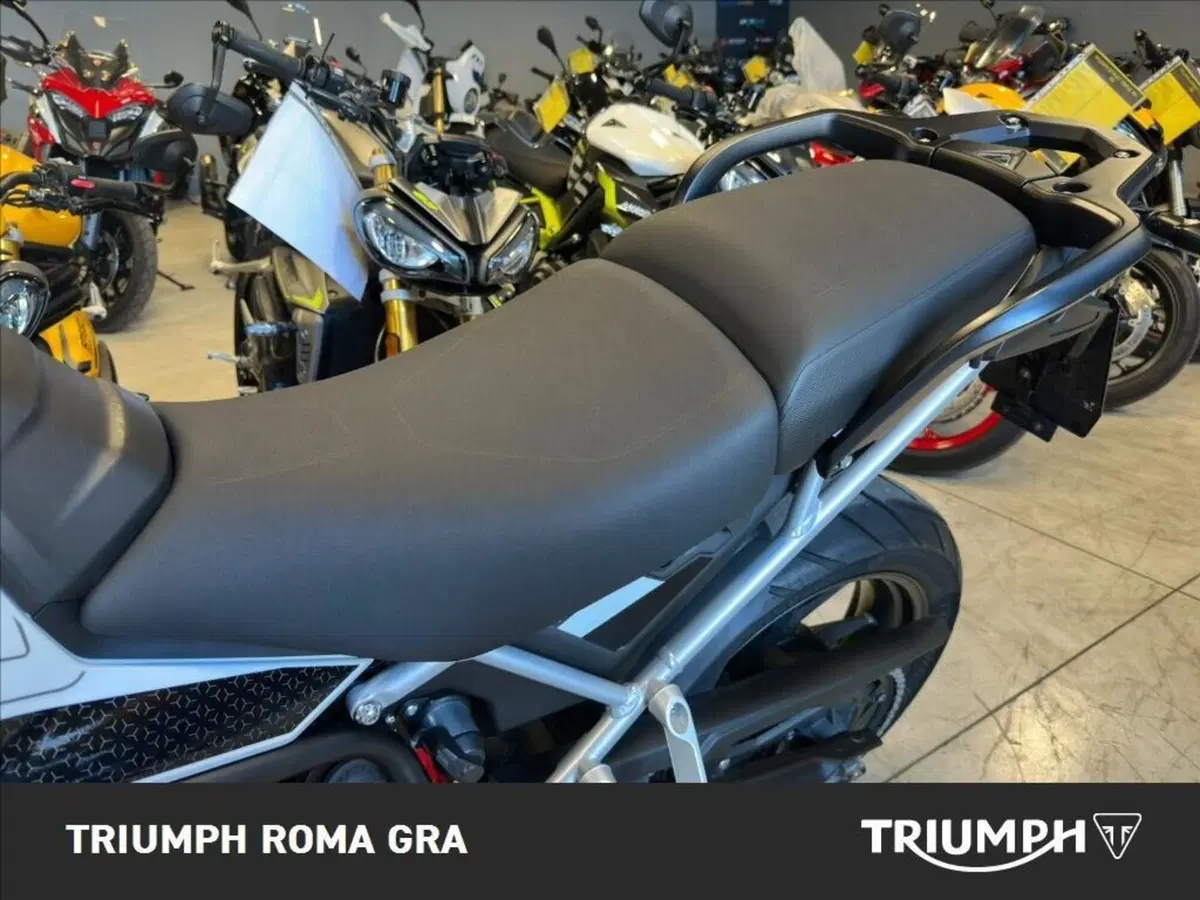 Triumph Tiger 900 GT Pro (2024 - 26) (17)