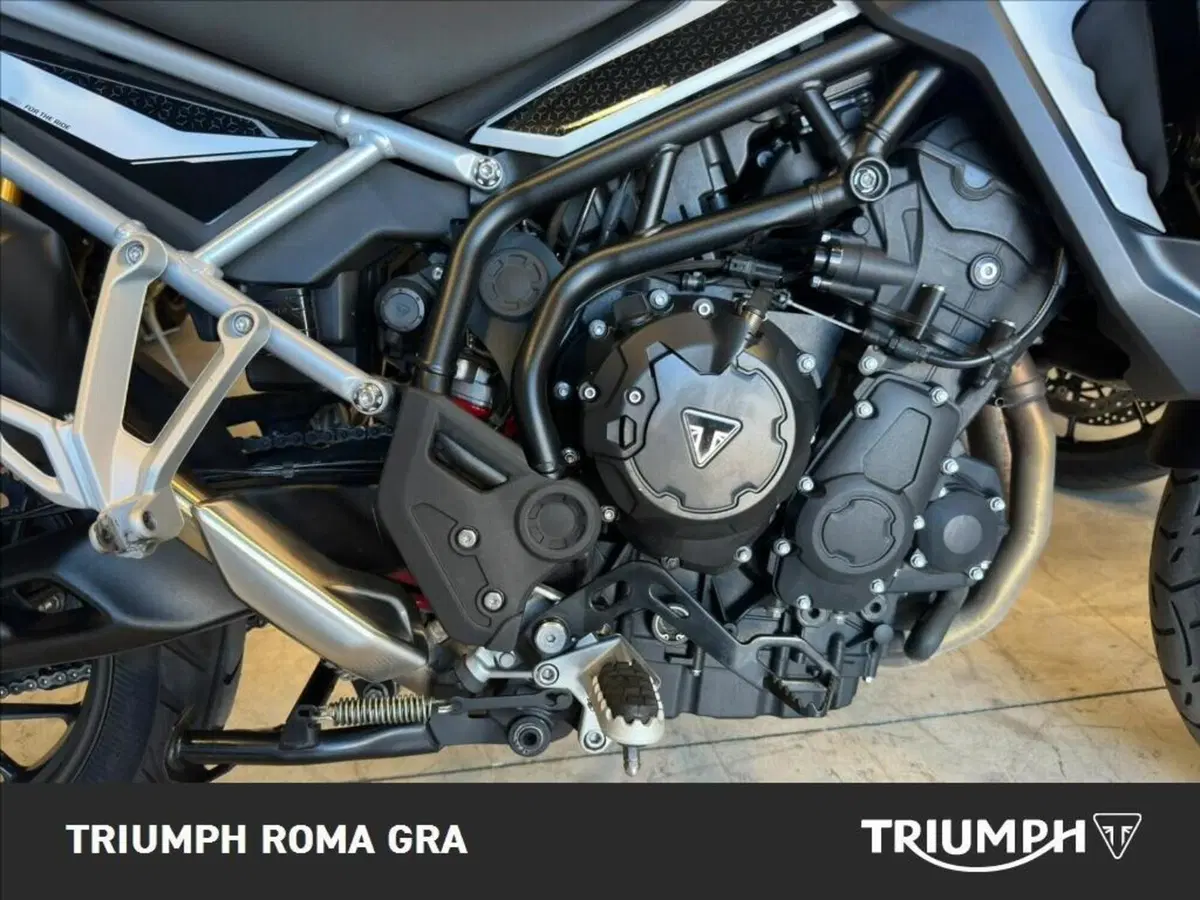 Triumph Tiger 900 GT Pro (2024 - 26) (6)