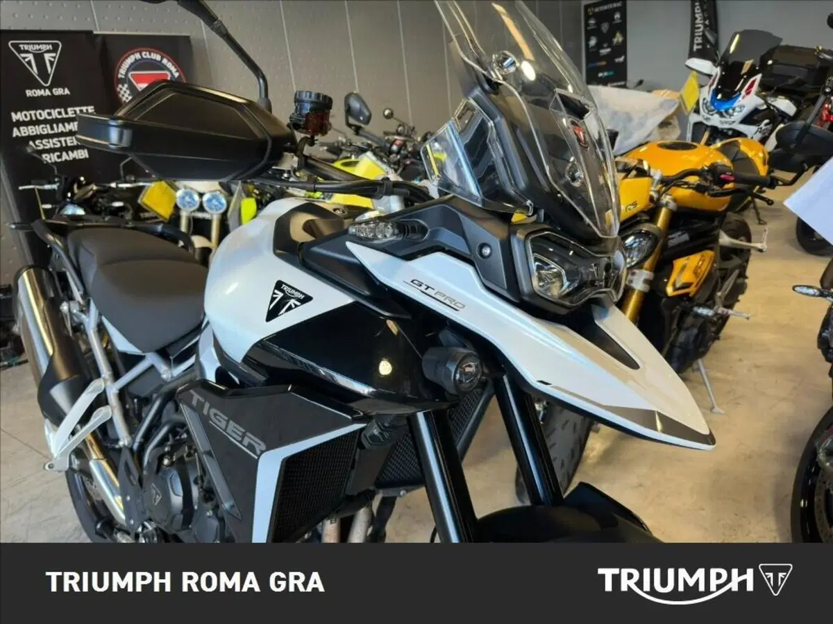 Triumph Tiger 900 GT Pro (2024 - 26) (11)