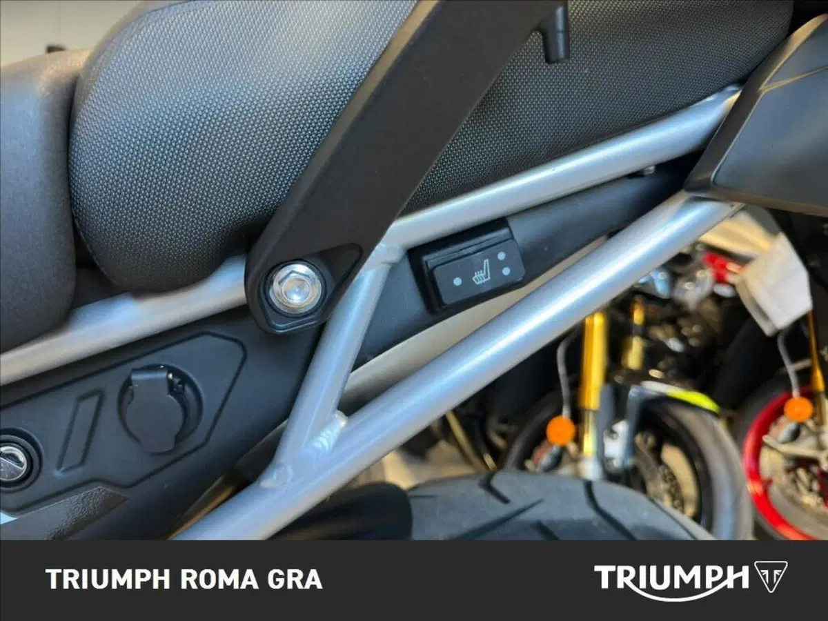 Triumph Tiger 900 GT Pro (2024 - 26) (19)