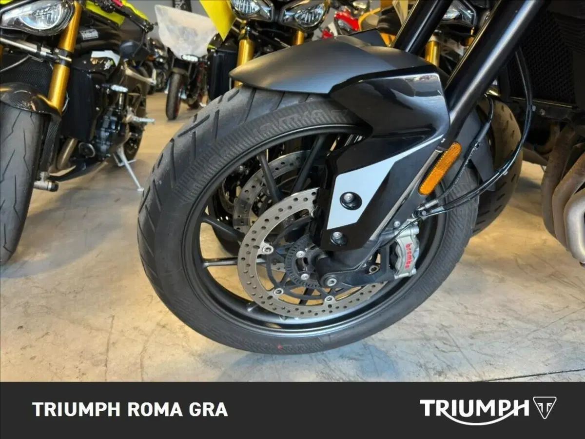 Triumph Tiger 900 GT Pro (2024 - 26) (8)