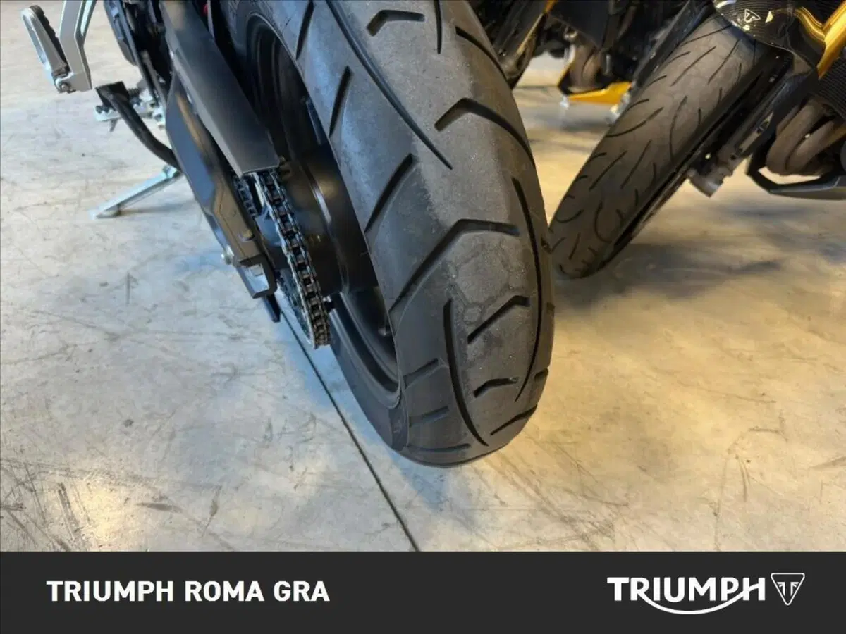 Triumph Tiger 900 GT Pro (2024 - 26) (21)