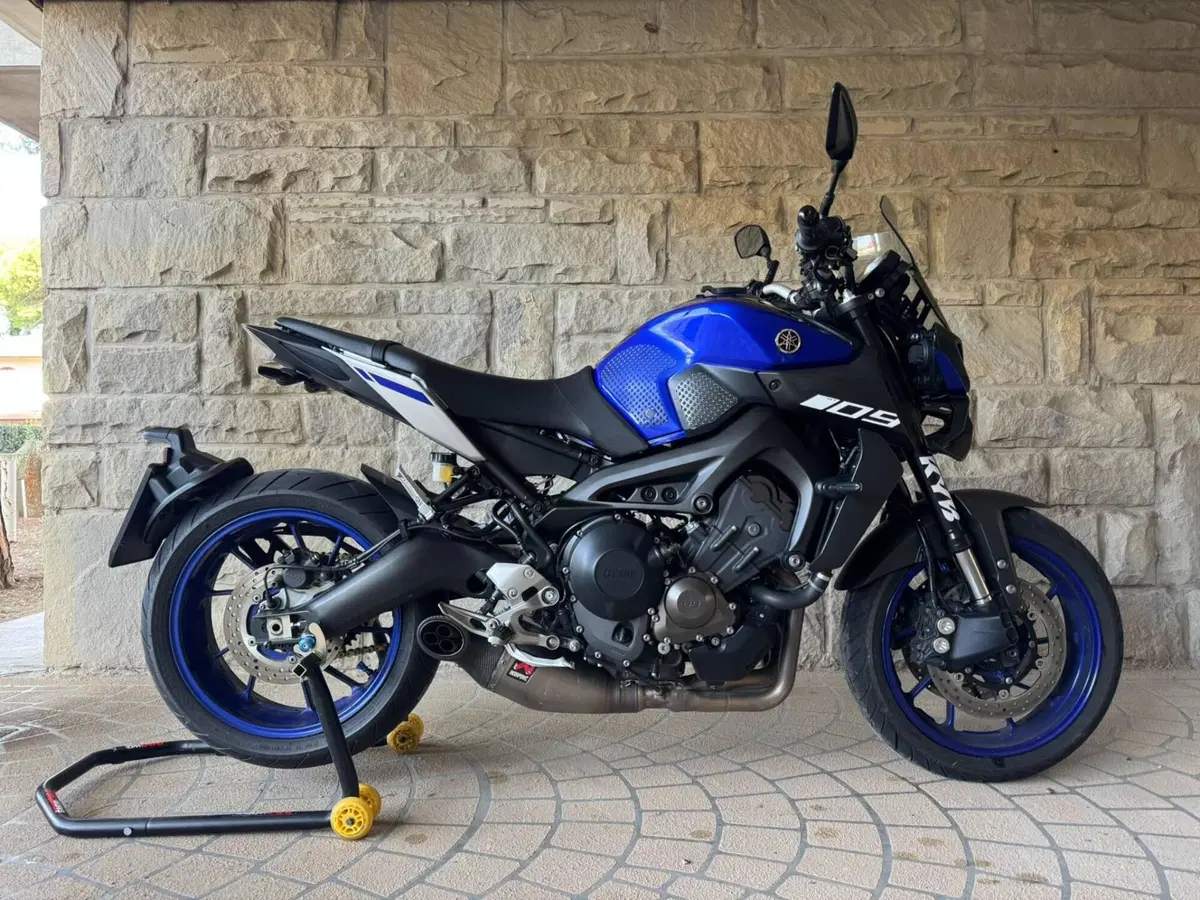 Yamaha MT-09 (2017 - 20) (2)