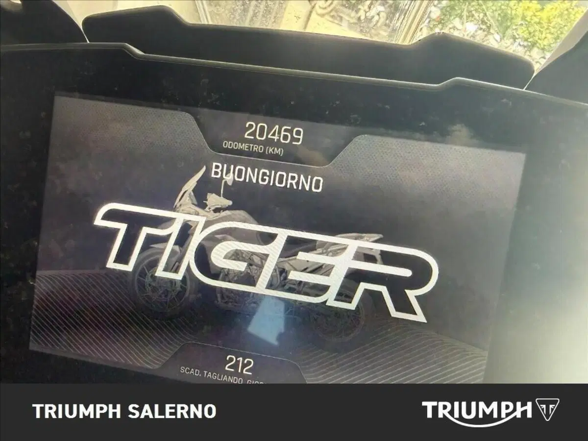 Triumph Tiger 900 GT Pro (2020 - 23) (6)