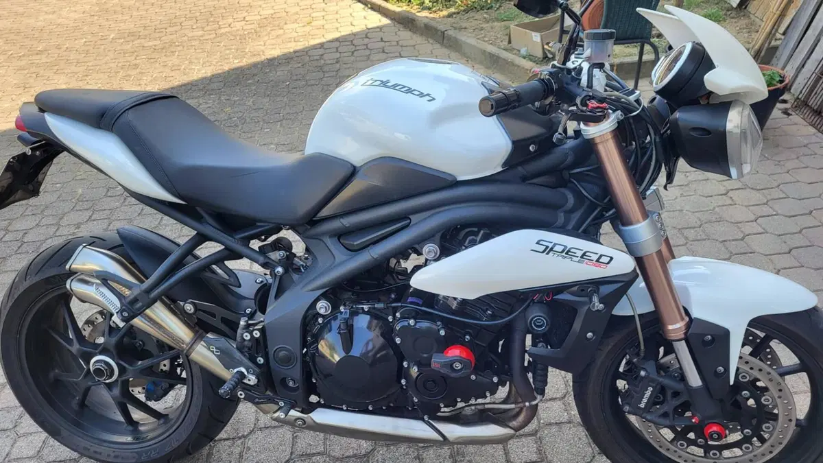 Triumph Speed Triple 1050 (2011 - 13) (6)