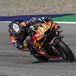 MotoGP, Pedro Acosta, prima vittoria in MotoGP festeggiata con finta caduta! Podio con le Aprilia! [CLASSIFICA e VIDEO]