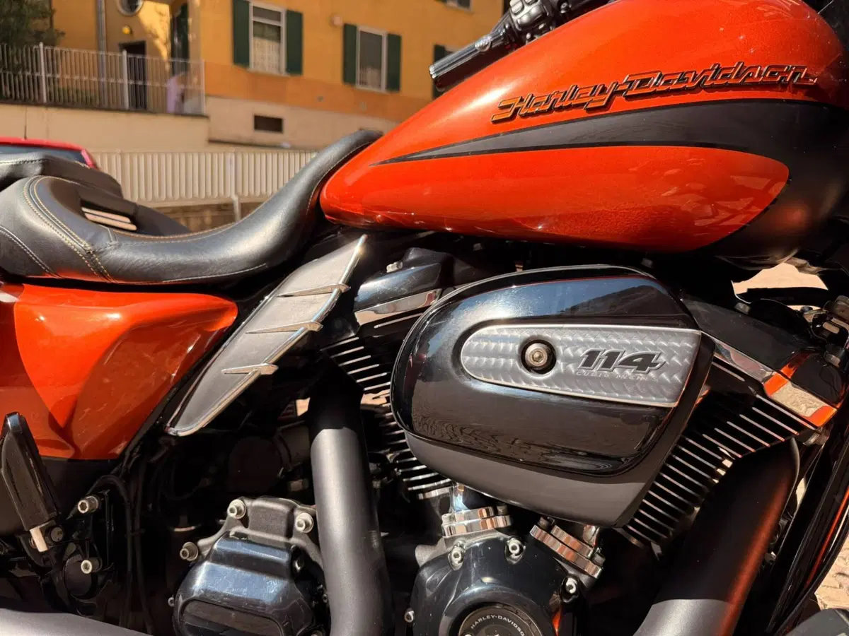Harley-Davidson 114 Road King Special (2019 - 20) - FLHR (13)