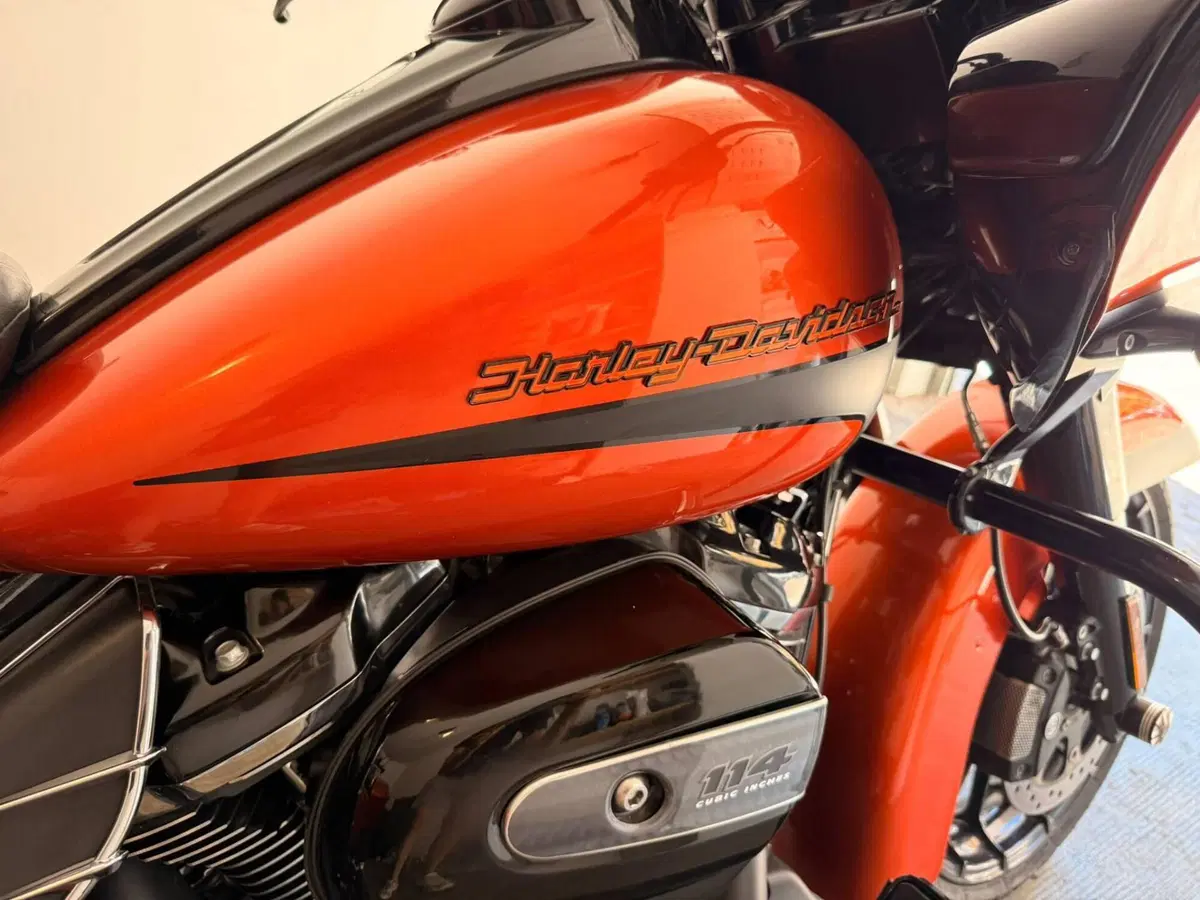 Harley-Davidson 114 Road King Special (2019 - 20) - FLHR (14)