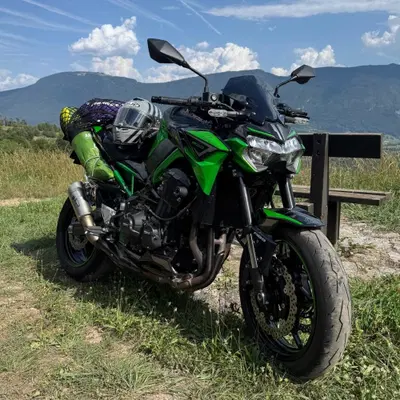 Kawasaki Z 900 (2021 - 24) usata