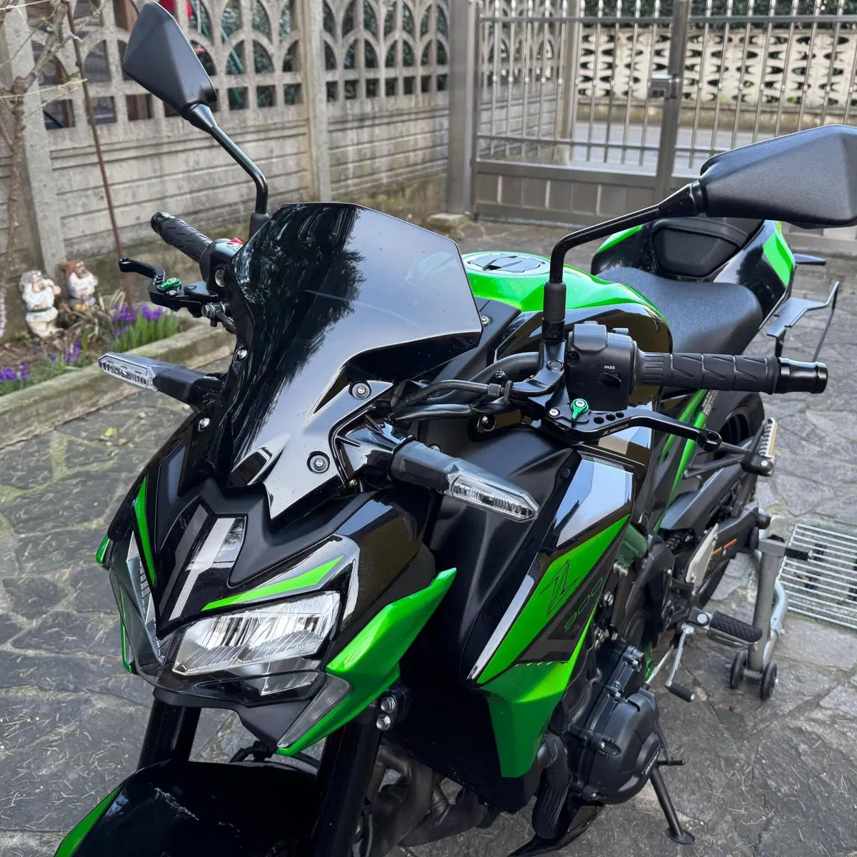 Kawasaki Z 900 (2021 - 24) (5)