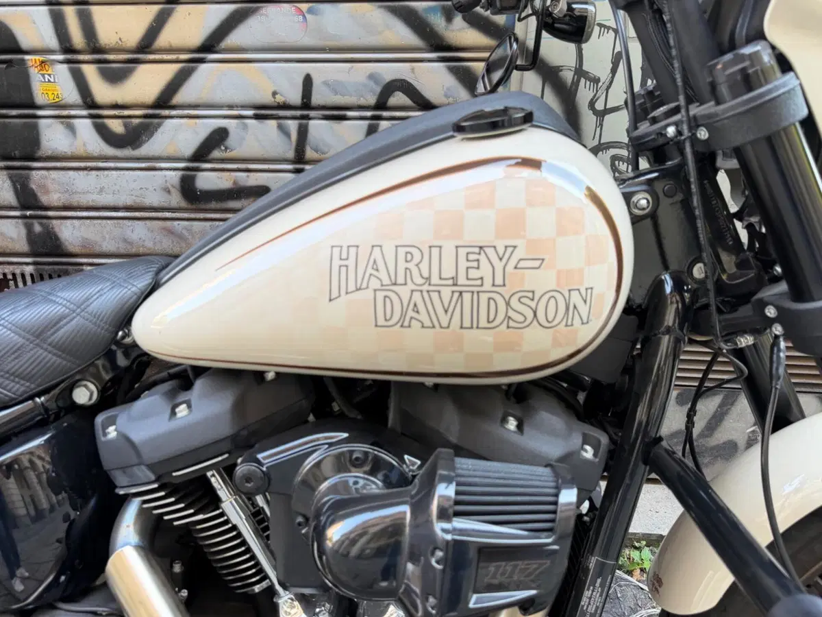 Harley-Davidson Low Rider S (2022 - 24) (4)