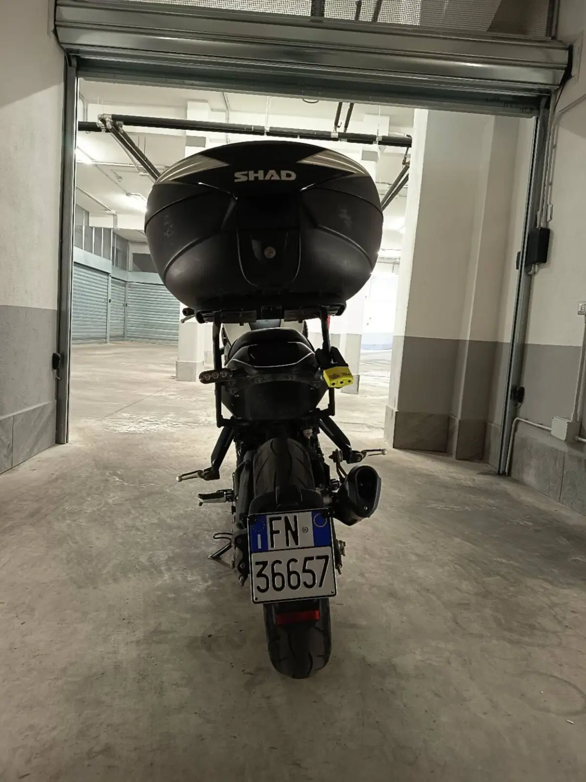 Benelli Leoncino 250 (2021 - 25)