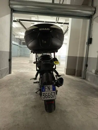Benelli Leoncino 250 (2021 - 25) usata