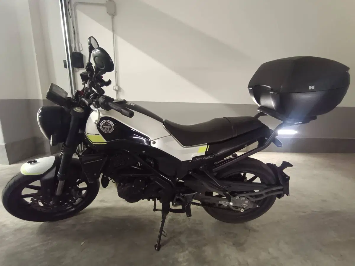 Benelli Leoncino 250 (2021 - 25) (3)
