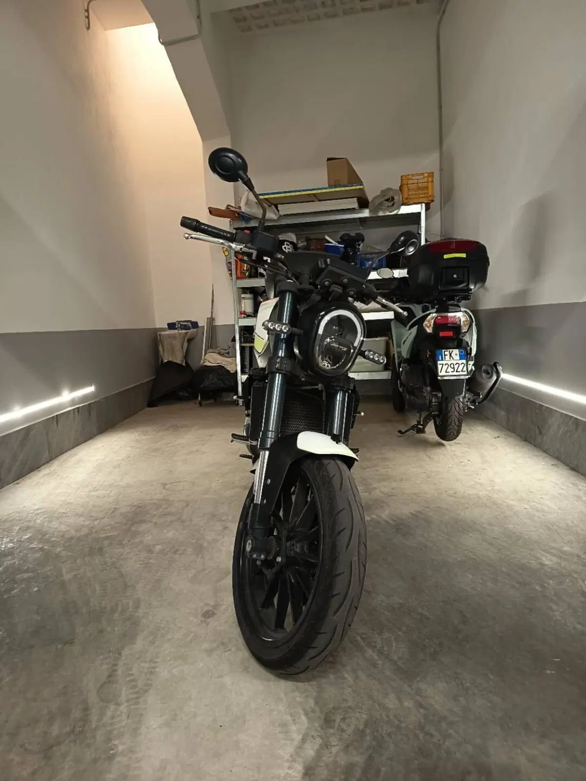 Benelli Leoncino 250 (2021 - 25) (4)