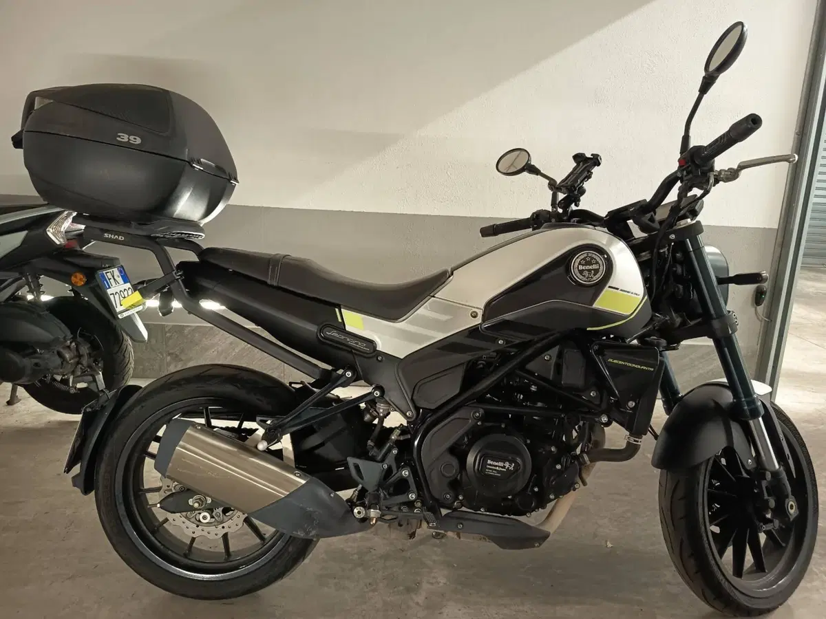 Benelli Leoncino 250 (2021 - 25) (5)
