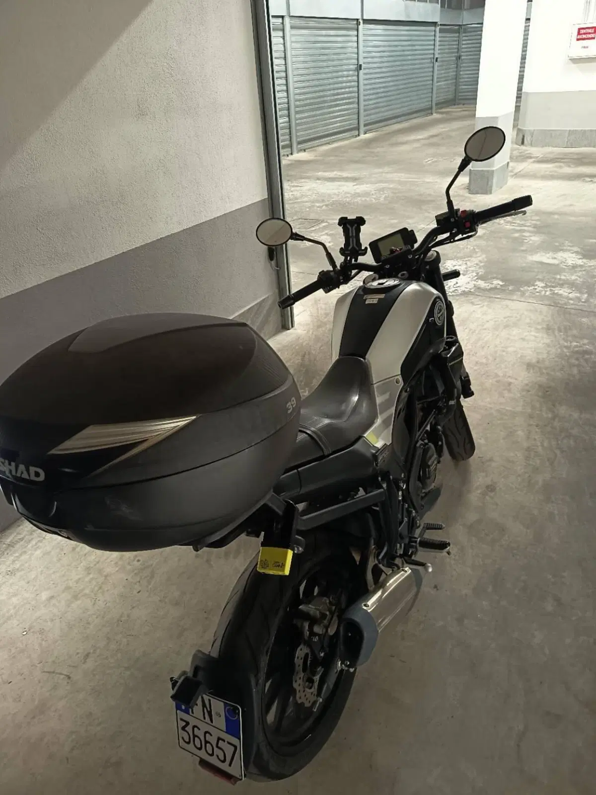 Benelli Leoncino 250 (2021 - 25) (8)