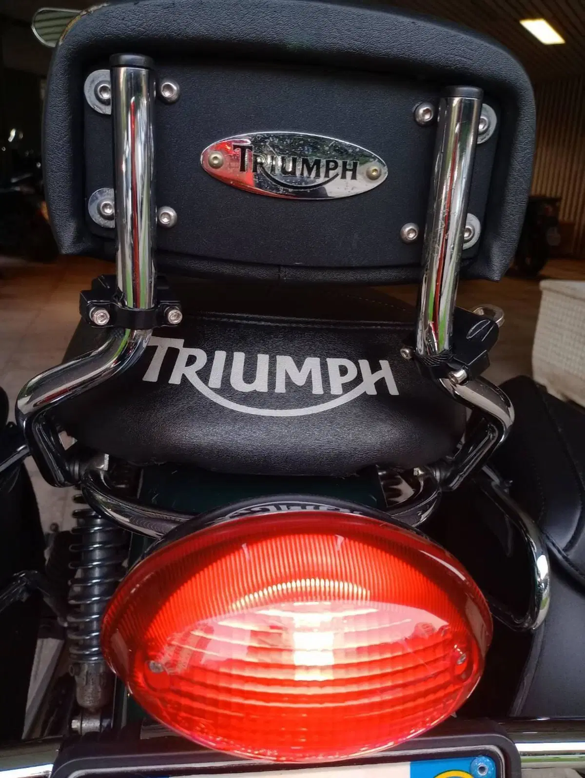 Triumph Bonneville T100 (2008 - 16) (9)