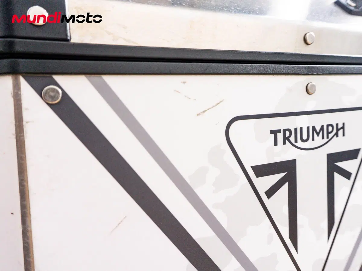 Triumph Tiger 1200 Alpine Edition (2020) (18)