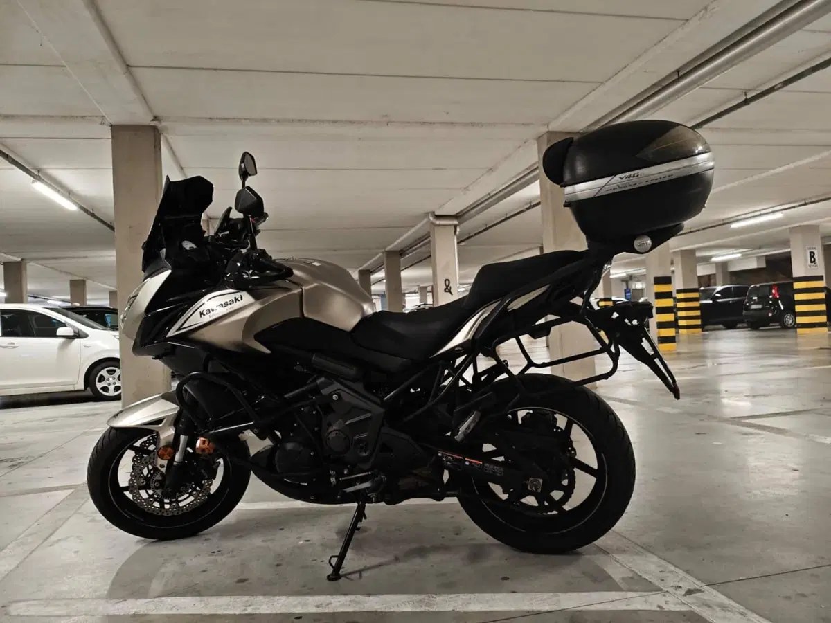 Kawasaki Versys 650 (2017 - 20) (2)