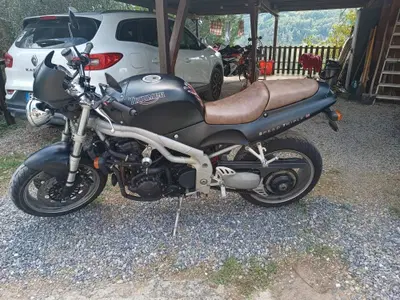Triumph Speed Triple 955 (1998 - 01) usata