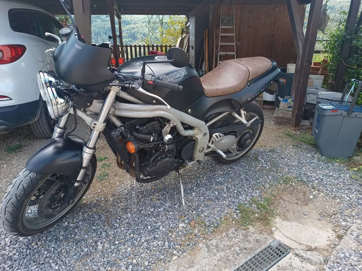 Triumph Speed Triple 955 (1998 - 01) (2)
