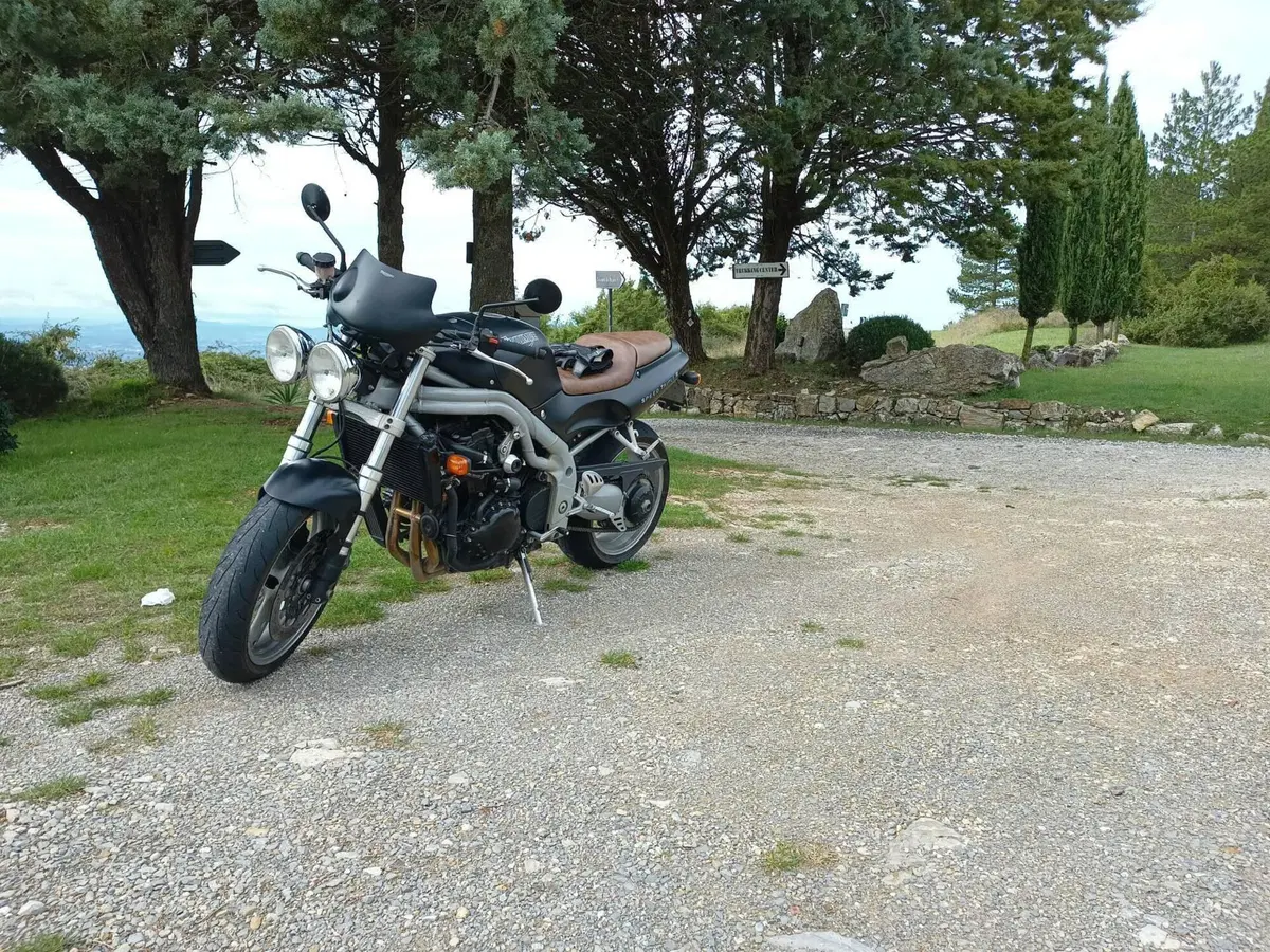 Triumph Speed Triple 955 (1998 - 01) (4)