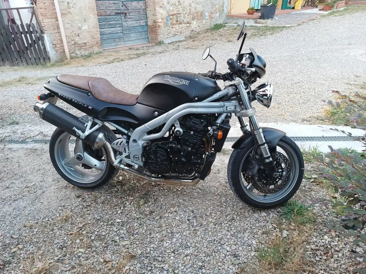 Triumph Speed Triple 955 (1998 - 01) (6)