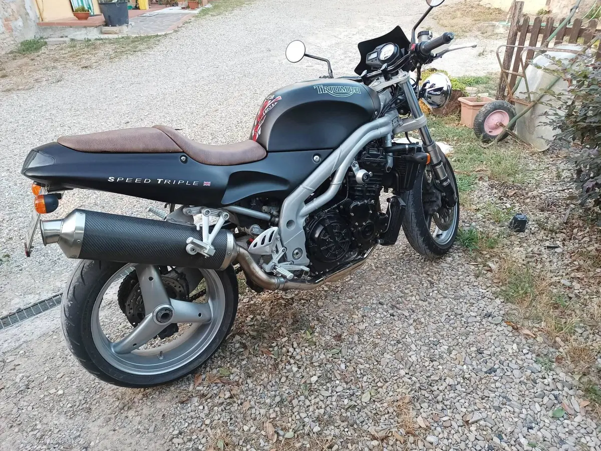 Triumph Speed Triple 955 (1998 - 01) (7)