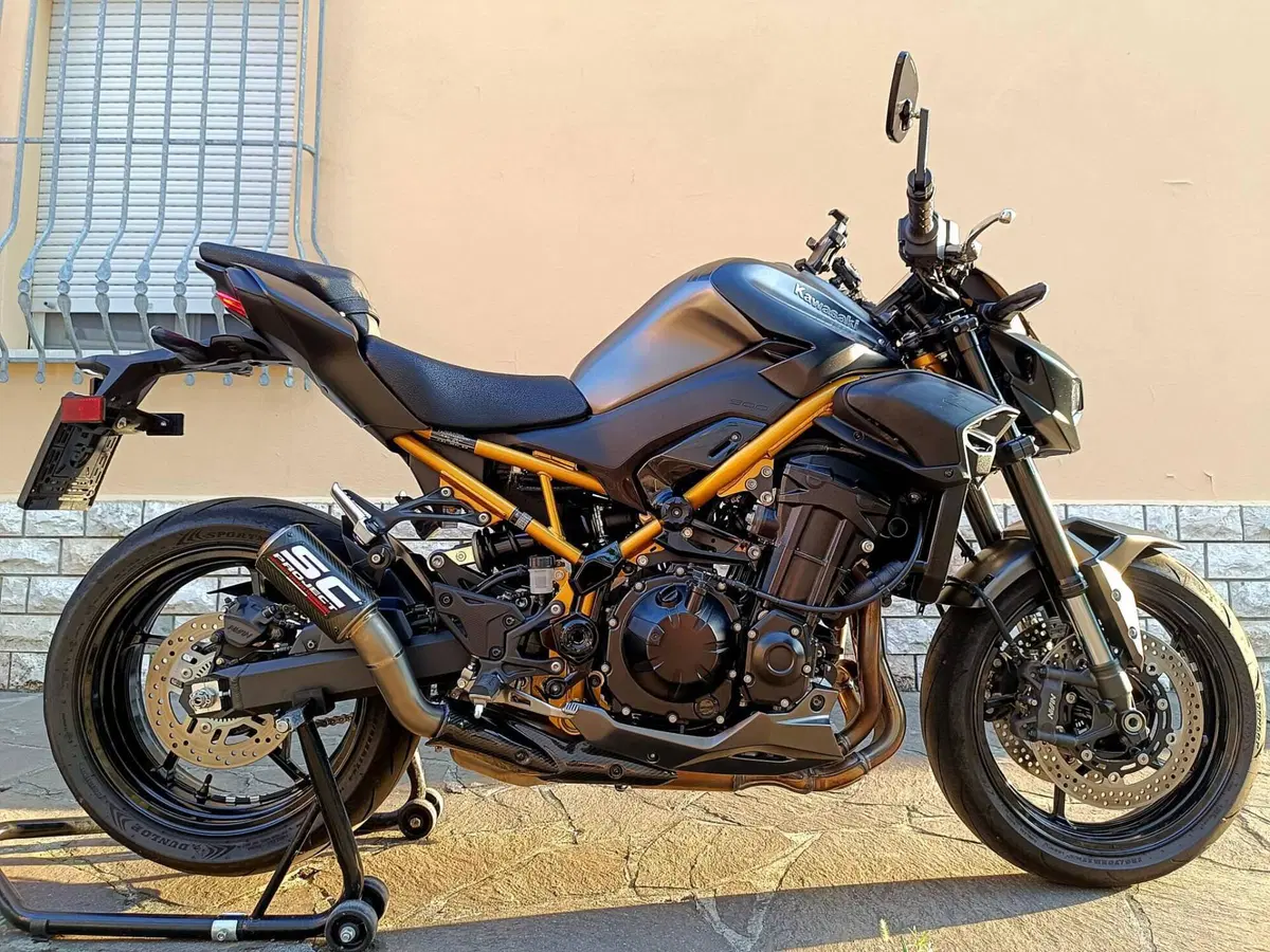 Kawasaki Z 900 (2025 - 26)