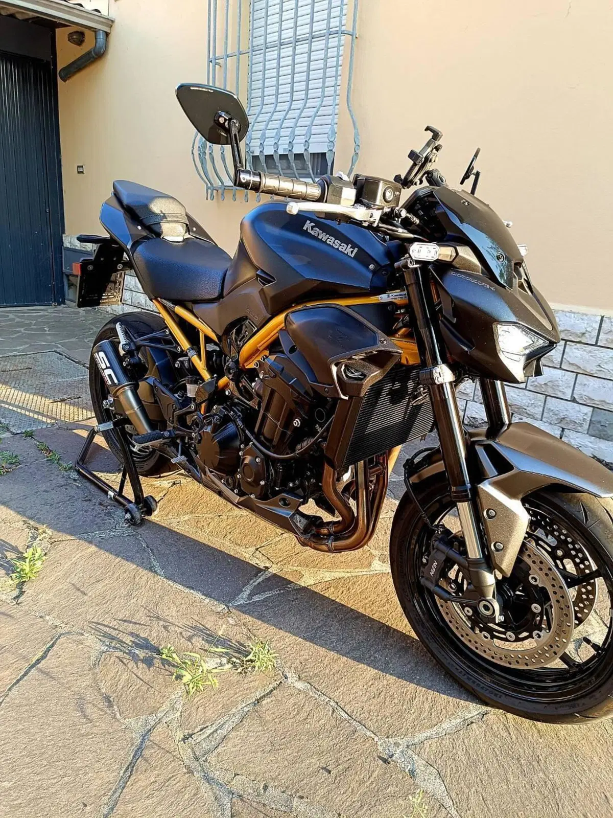 Kawasaki Z 900 (2025 - 26) (7)