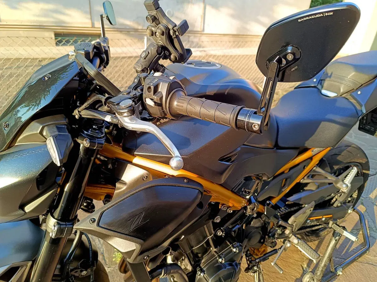 Kawasaki Z 900 (2025 - 26) (8)