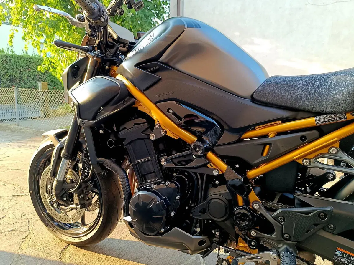 Kawasaki Z 900 (2025 - 26) (10)