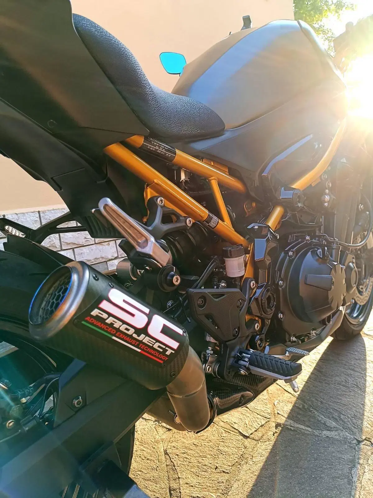 Kawasaki Z 900 (2025 - 26) (12)