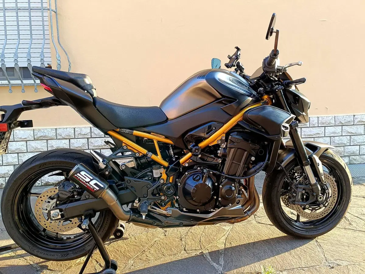 Kawasaki Z 900 (2025 - 26) (13)