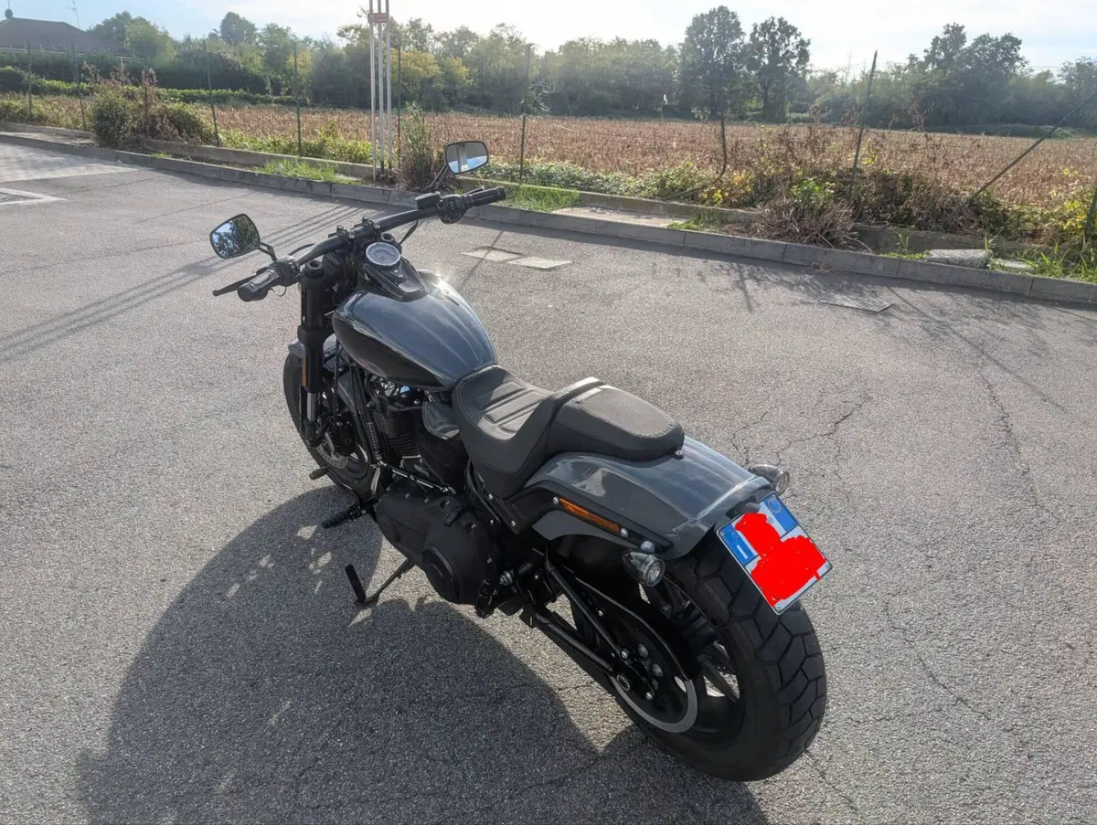 Harley-Davidson Fat Bob 114 (2021 - 25) (2)