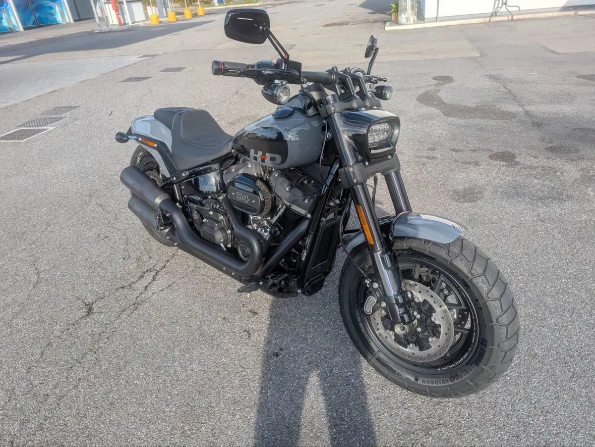 Harley-Davidson Fat Bob 114 (2021 - 25) (4)