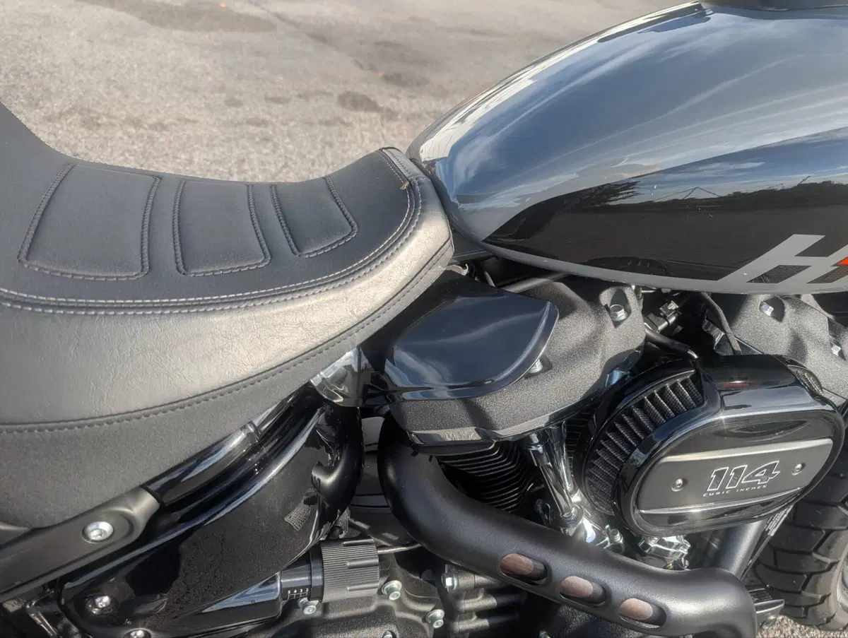 Harley-Davidson Fat Bob 114 (2021 - 25) (6)