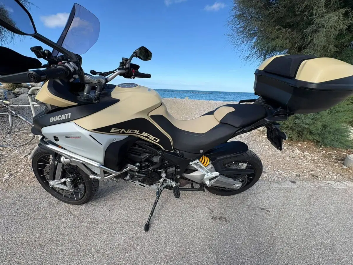 Ducati Multistrada 1200 Enduro Pro (2017 - 18) (3)