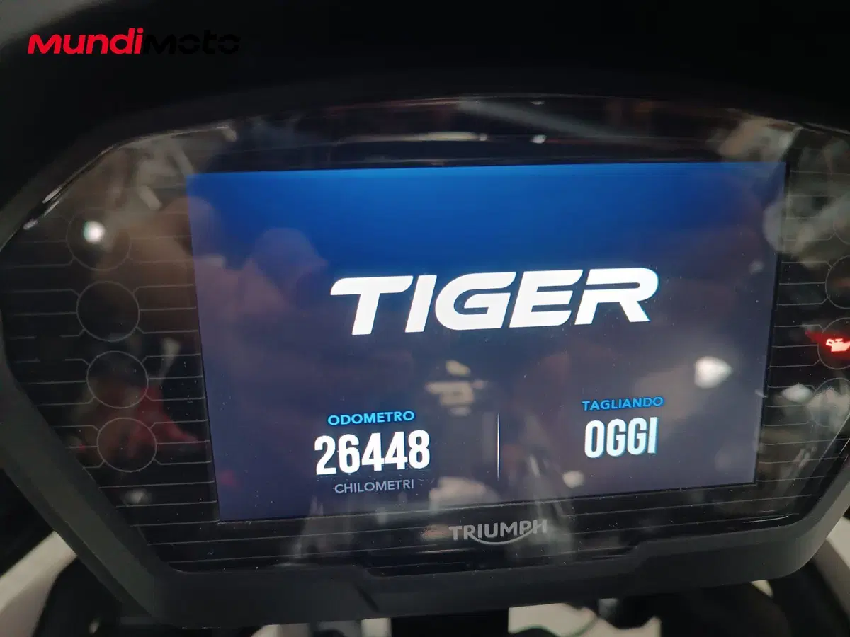 Triumph Tiger 1200 Alpine Edition (2020) (12)