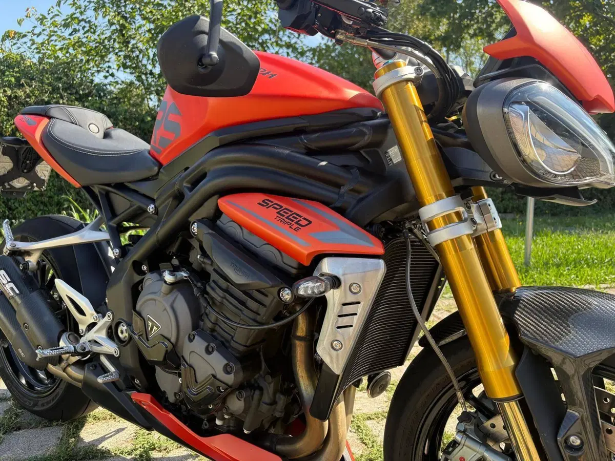 Triumph Speed Triple 1200 RS (2021 - 24) (10)