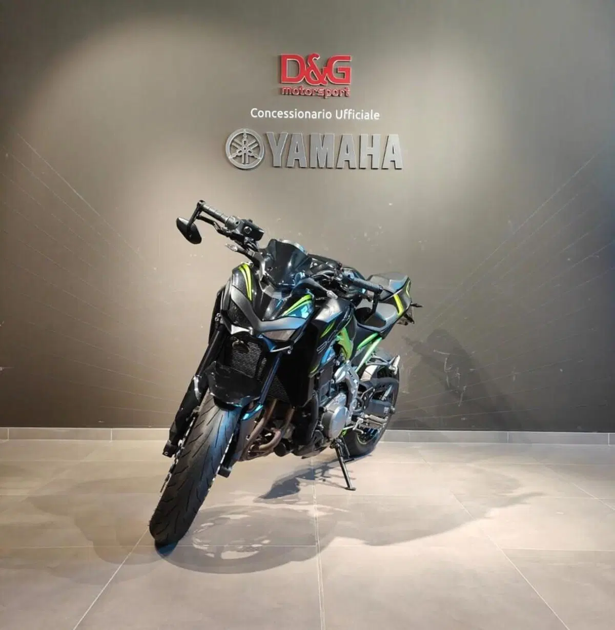 Kawasaki Z 900 (2019) (2)
