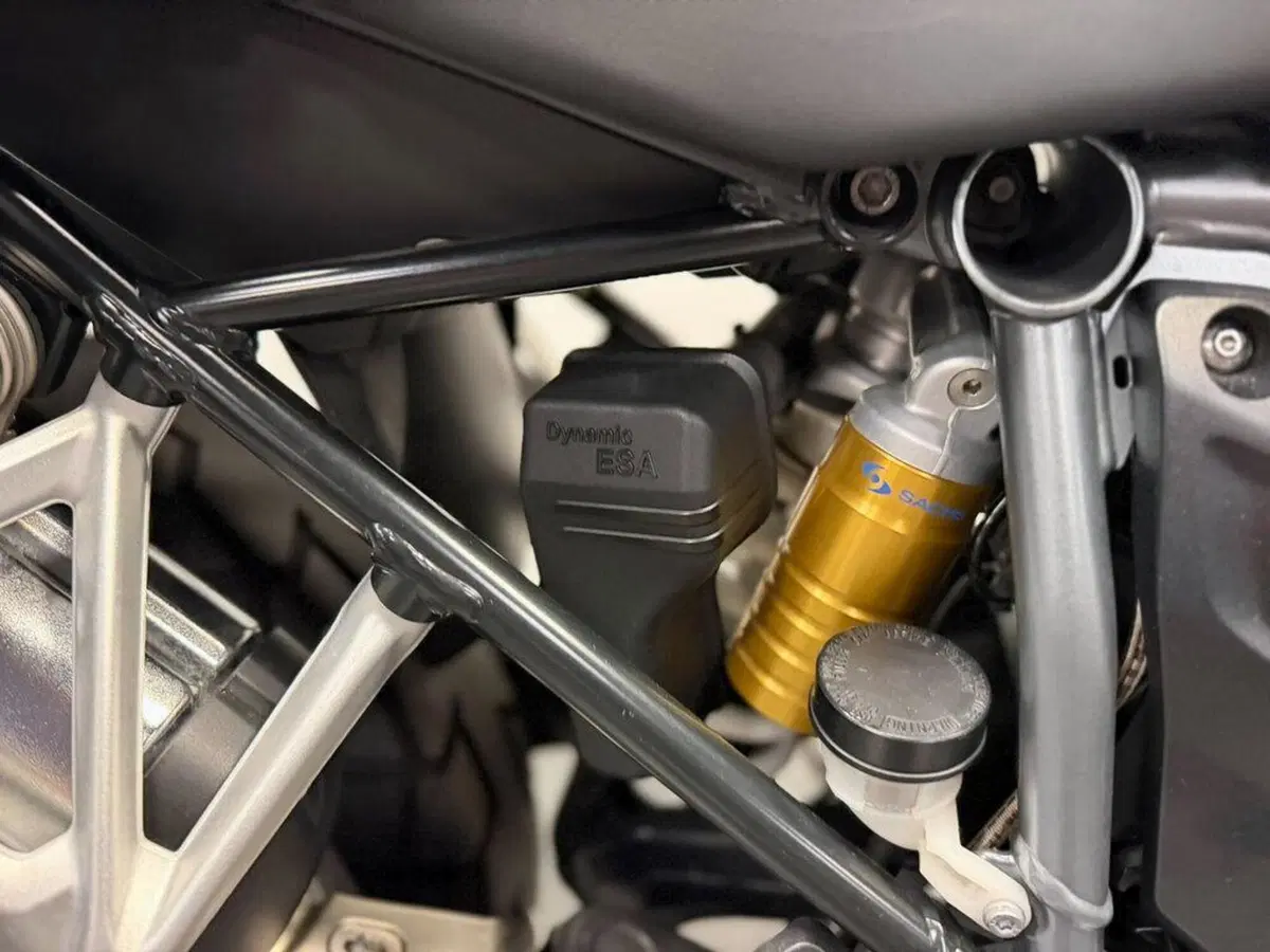Bmw R 1200 GS (2017 - 18) (12)