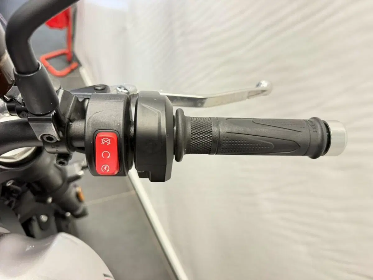 Triumph Speed Twin 900 (2025 - 26) (10)