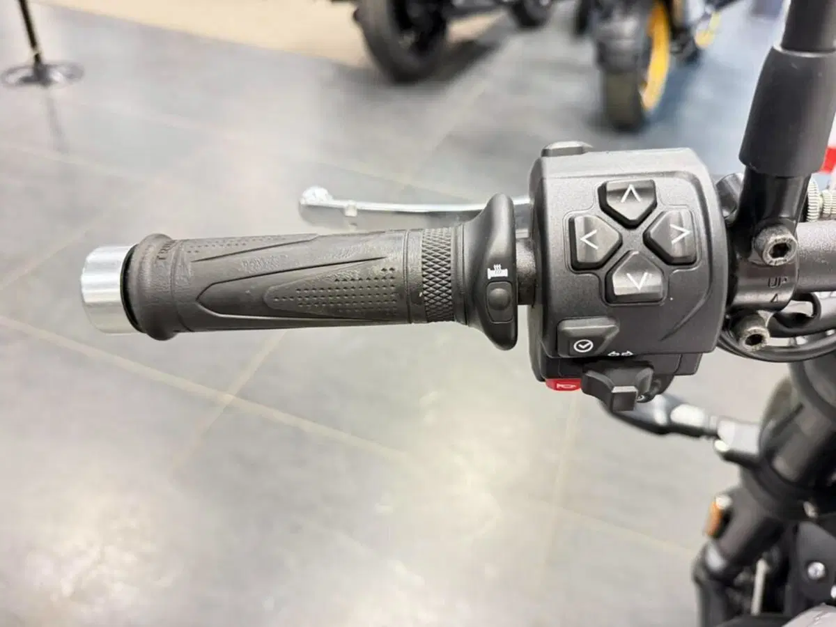 Triumph Speed Twin 900 (2025 - 26) (8)