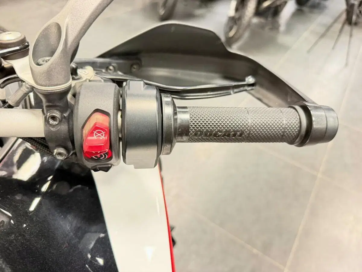 Ducati Multistrada V4 1100 S Sport (2021) (10)