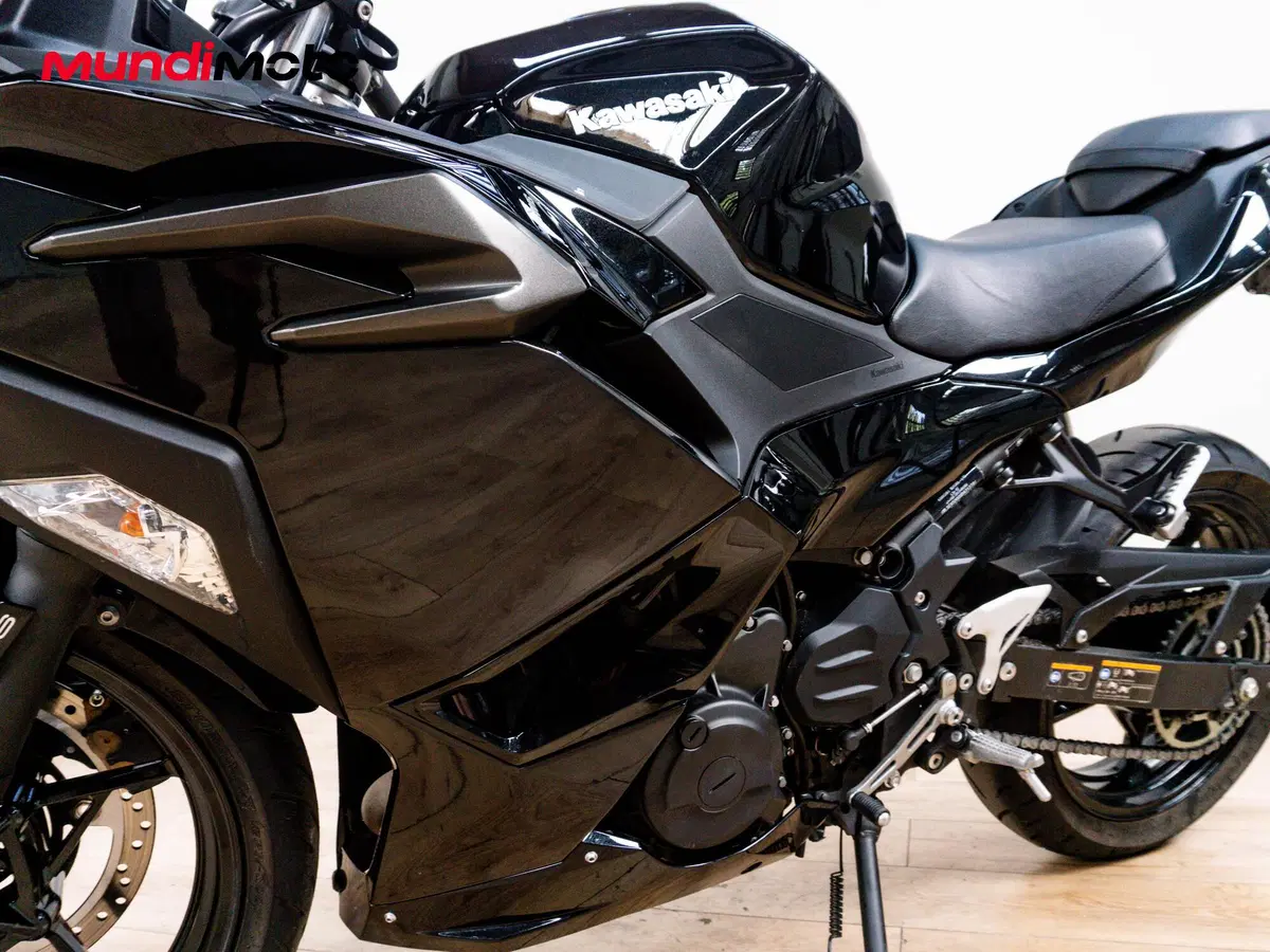Kawasaki Ninja 500 (2024 - 26) (9)