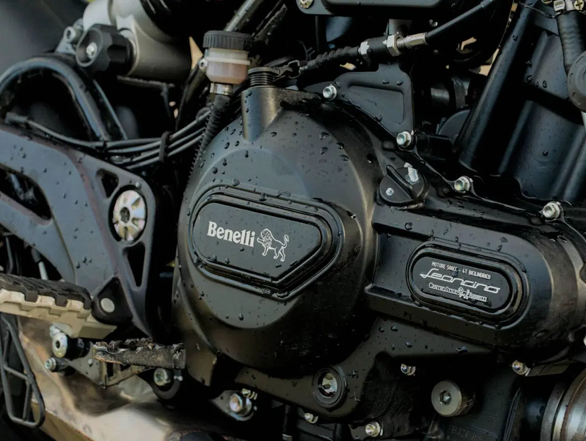 Benelli Leoncino 500 Trail ABS (2017 - 20) (5)