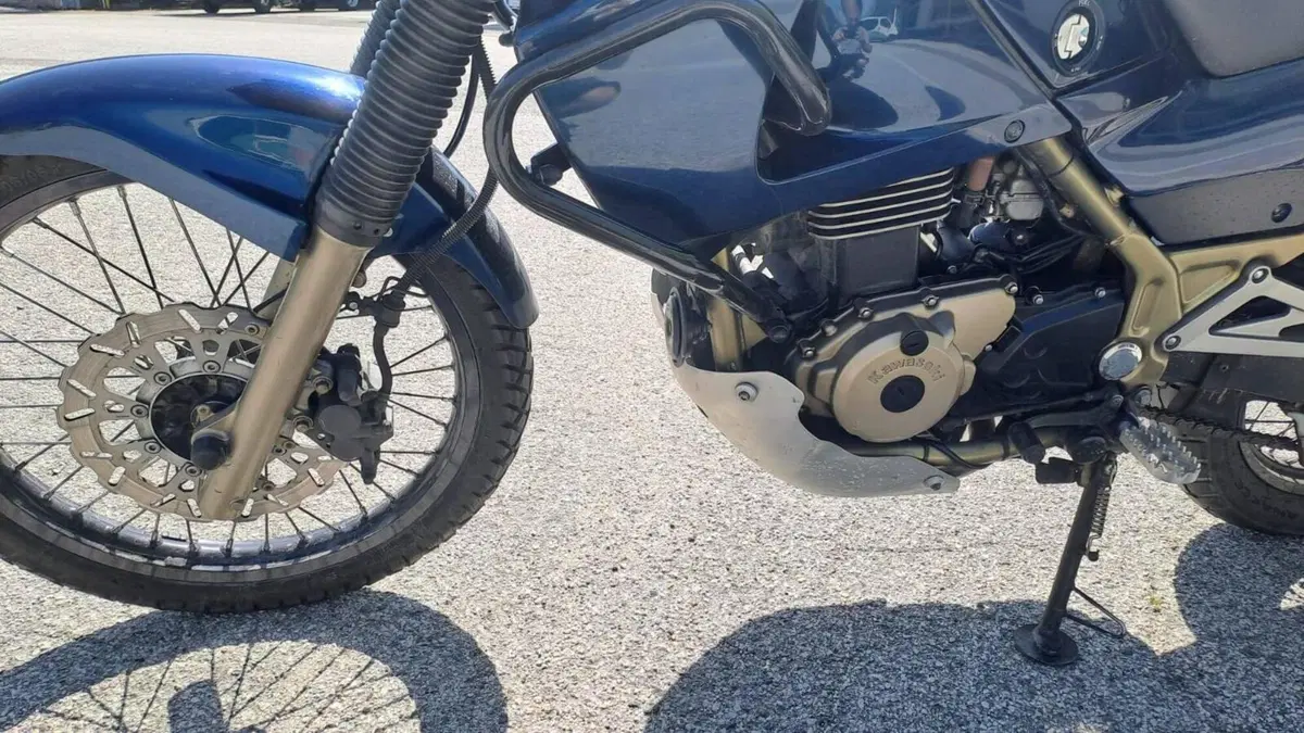 Kawasaki KLE 500 (2005 - 06) (12)